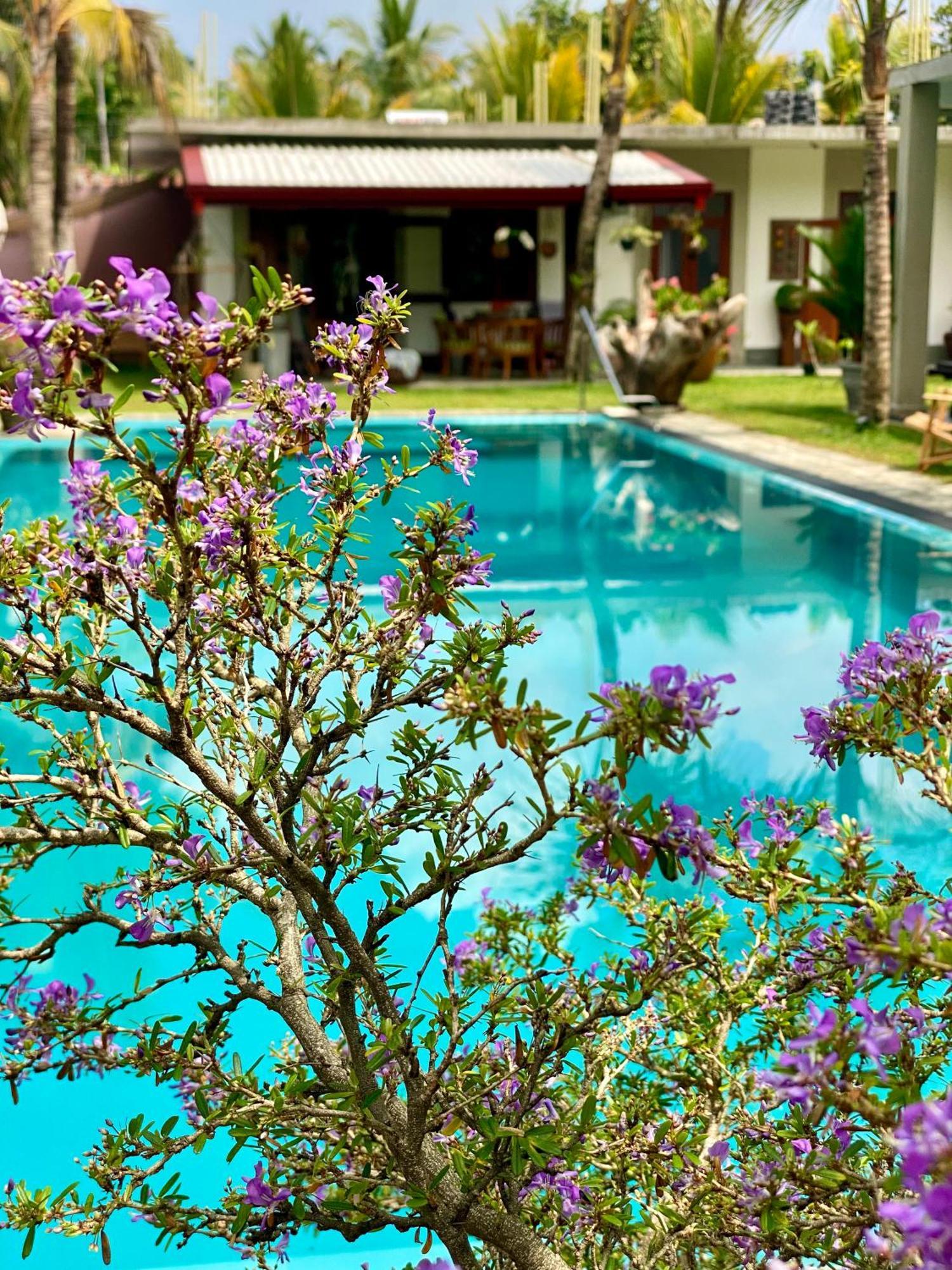 Sri Palms Bed and Breakfast Kosgoda Exteriör bild
